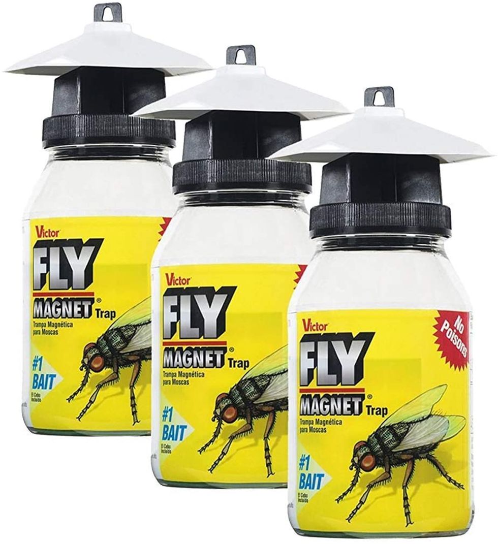 Best Fly Traps of 2021