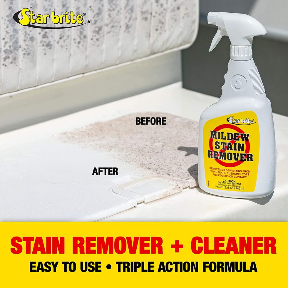 The 10 Best Mold And Mildew Removers 2020 22 Words 4335