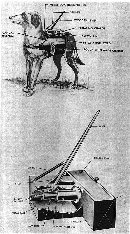 Anti-tank dog bomb
