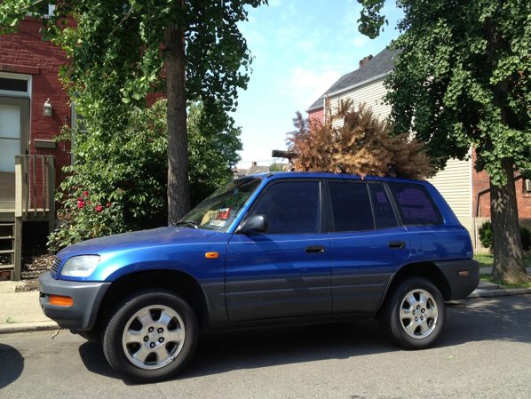 Dead Xmas Tree
