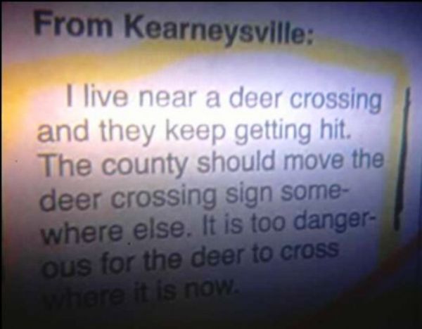 Deer Crossing