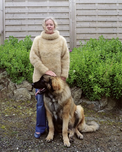 Dogwool - 04