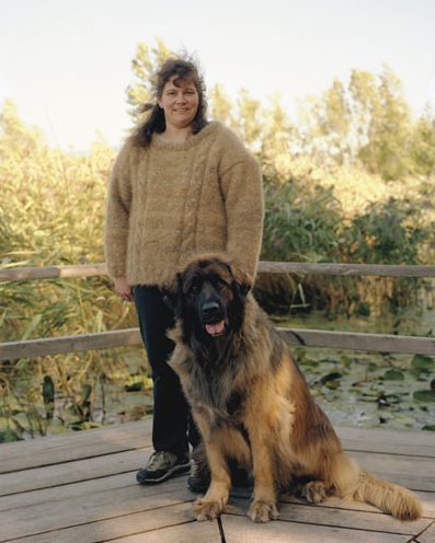 Dogwool - 06