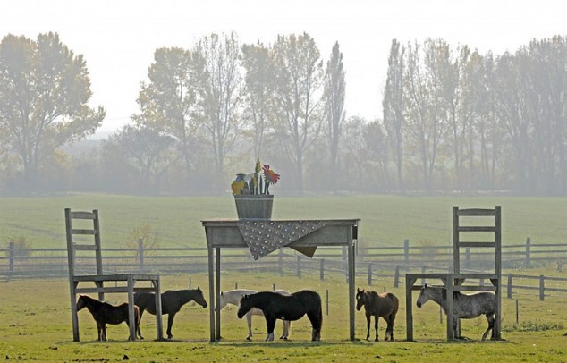 Horses under huge table and chairs