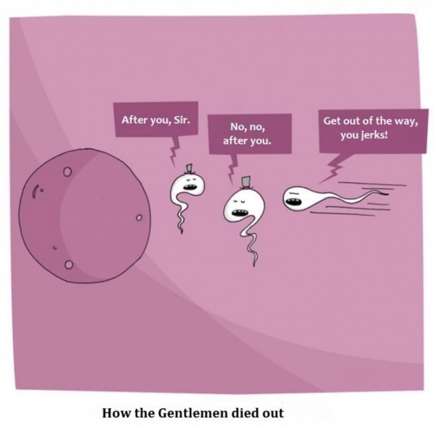 How-the-gentlemen-died-out
