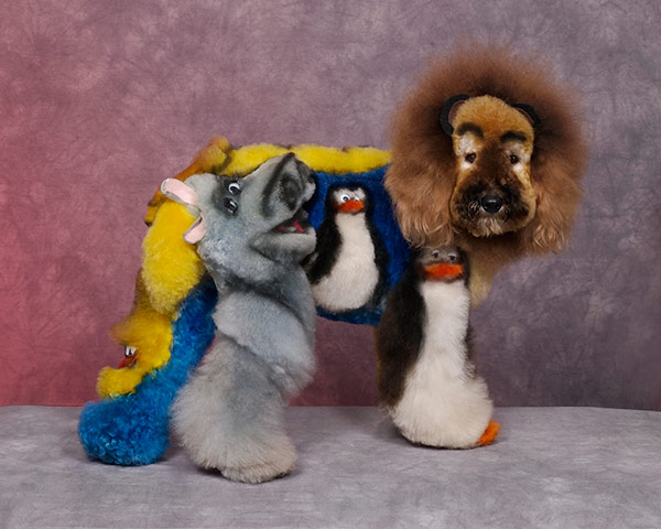 Crazy Dog Grooming Competition