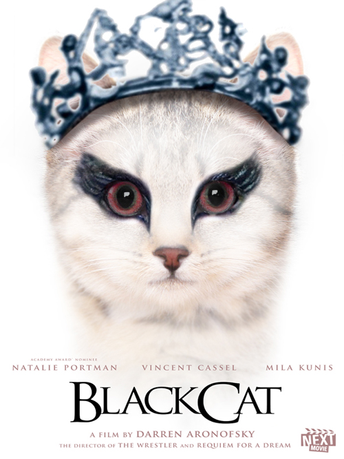 Movies Recast with cats - 01