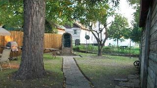Picture of a decent looking backyard.