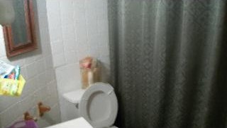 Picture of a bathroom wall and half of the toilet.