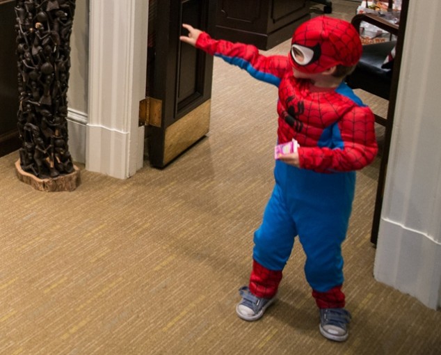 Obama in Spider-Man's Web - detail 01