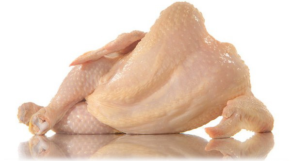 PETA sexy chicken