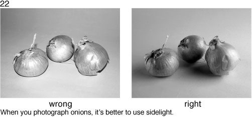 Photography rules for idiots 17
