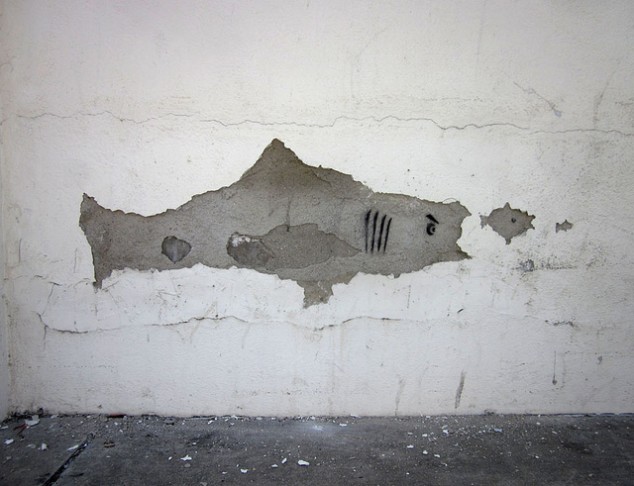 Image of a shark and fish in peeling paint Image of a shark and fish in peeling paint
