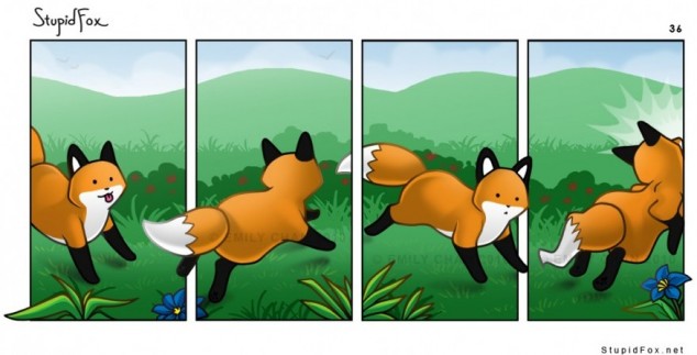Stupid Fox