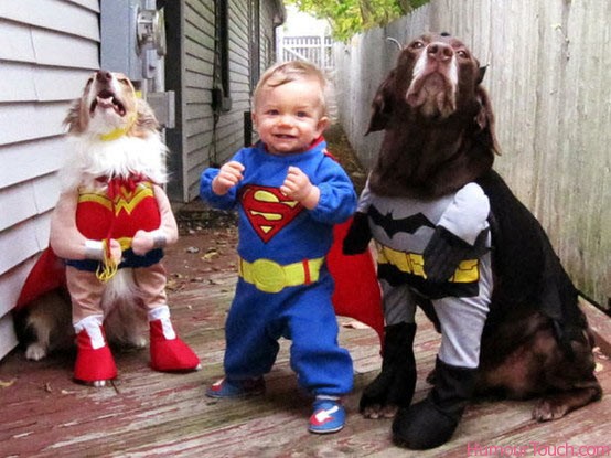 Pictures Of Dogs Dressed Up. A toddler and his dogs dressed