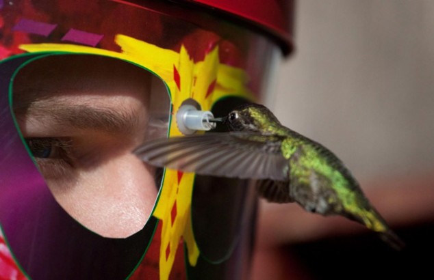 Wearable Hummingbird Feeder - 01