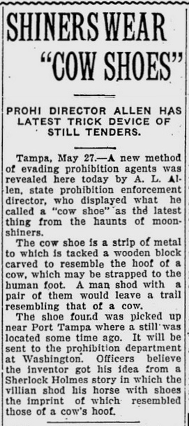cow shoes