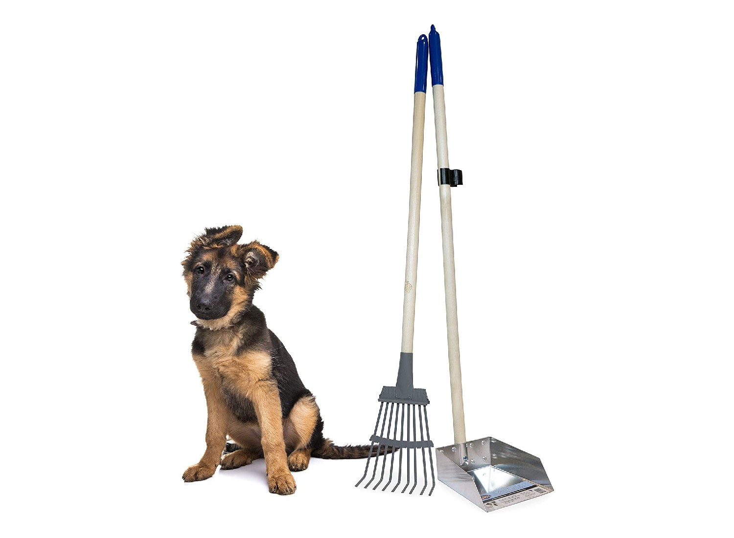 Andiker Portable Pet Pooper Scooper with Short Handle High Elastic Spring Dog Poop Scoop Indoor and Outdoor Cleaning Tool Pet Clamp Scooper 