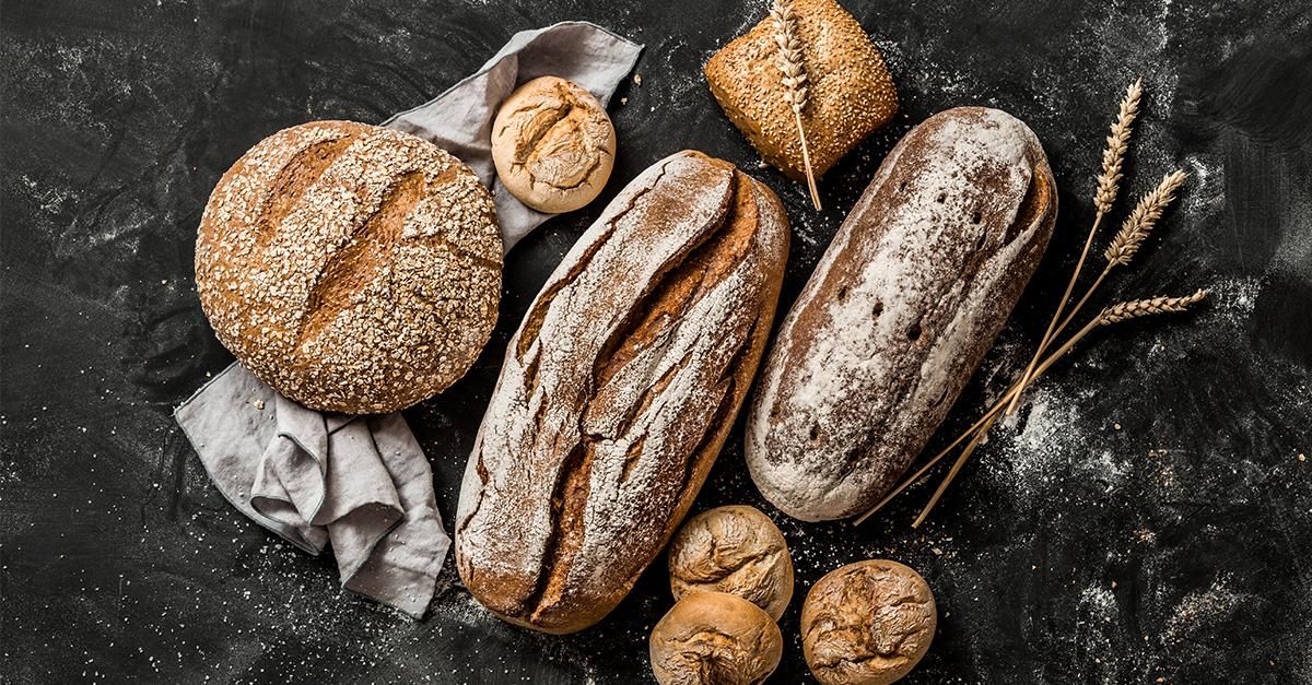 Paddle for Elite Gourmet Bread Maker Choose by Model Number
