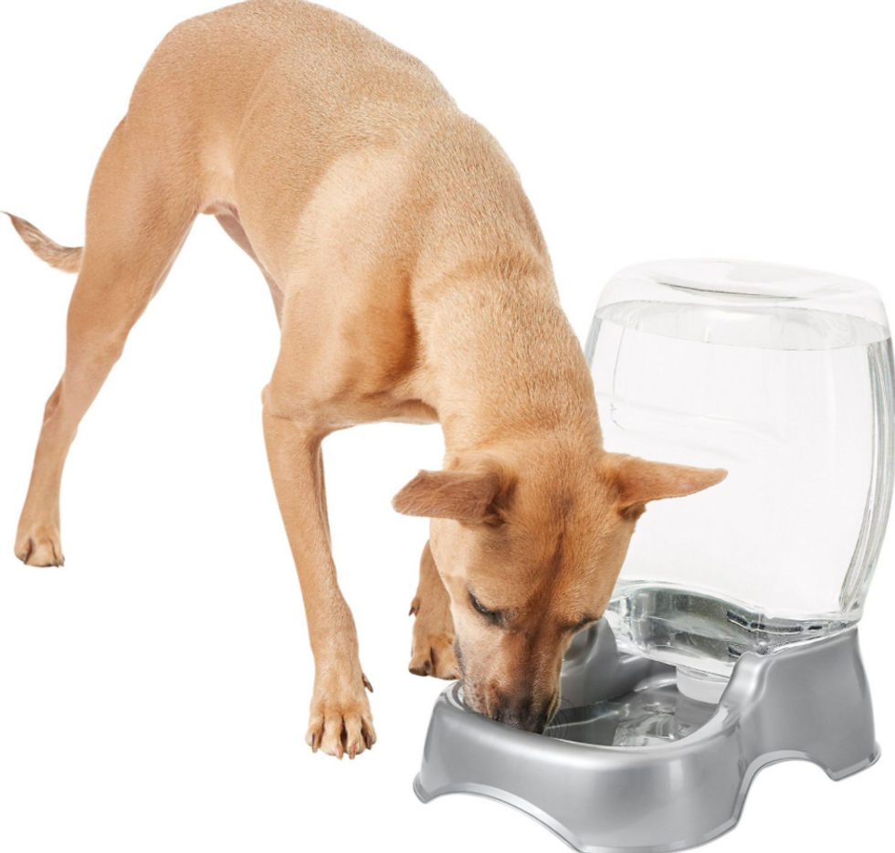 The Newest Dog Products Every Dog Owner Must Have #dog