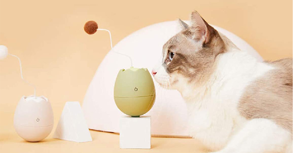 Amazon Pet Products That Are Going Viral For A Good Reason