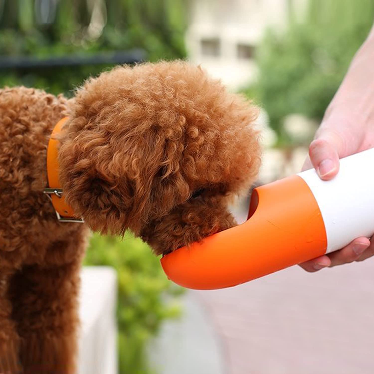 Remote-activated vibrating dog bed promises to help tackle pets' separation  anxiety