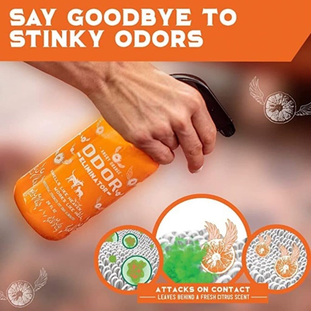 Welcome Guests Without Worrying About Smells