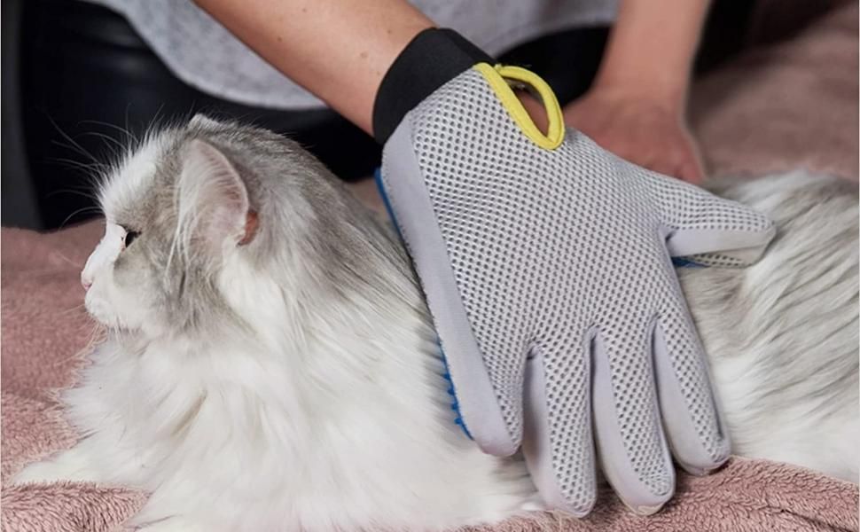 Clean Them While You Pet Them