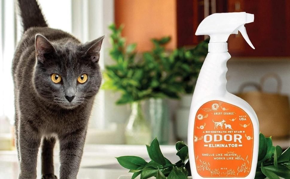 Grab This Stain Remover Because Accidents Happen