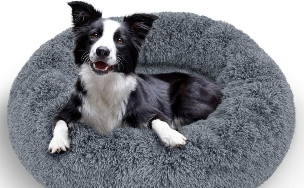 Keep Them Cozy in This Donut Bed