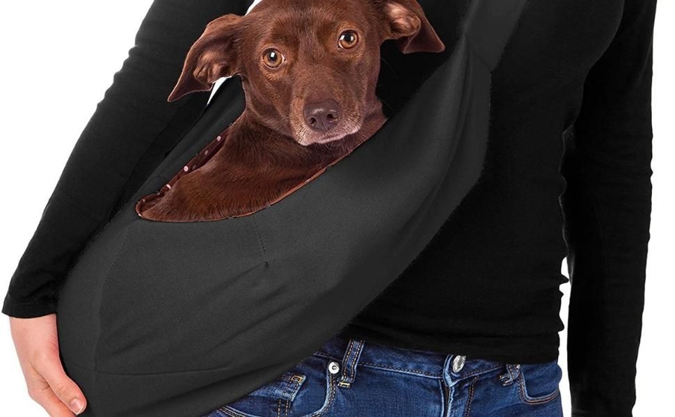 Carry Your Best Friend in Style with This Sling