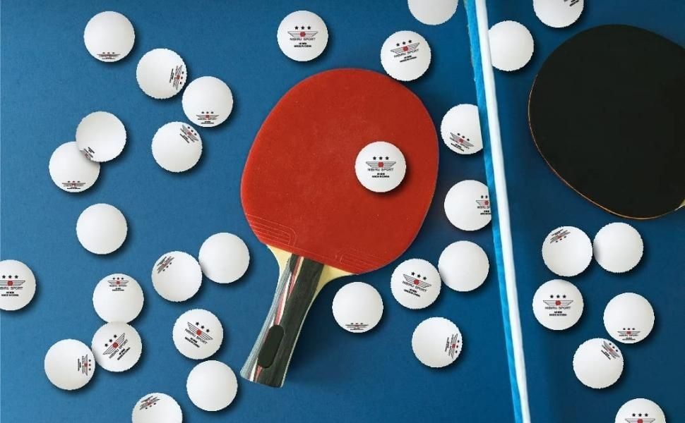 Every Picnic Table Can Be a Ping Pong Table