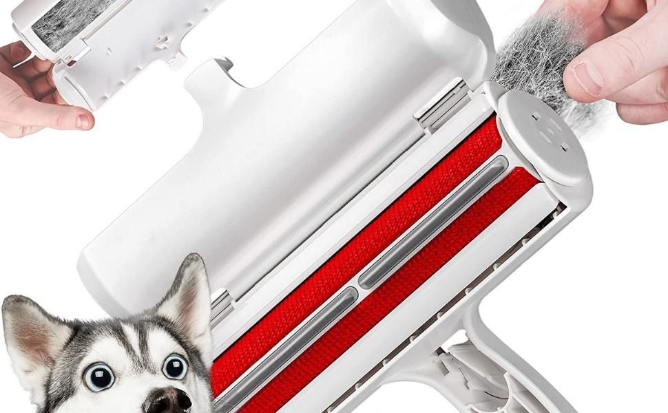 Get Fido’s Hair Off Your Car Seats with This Hair Remover
