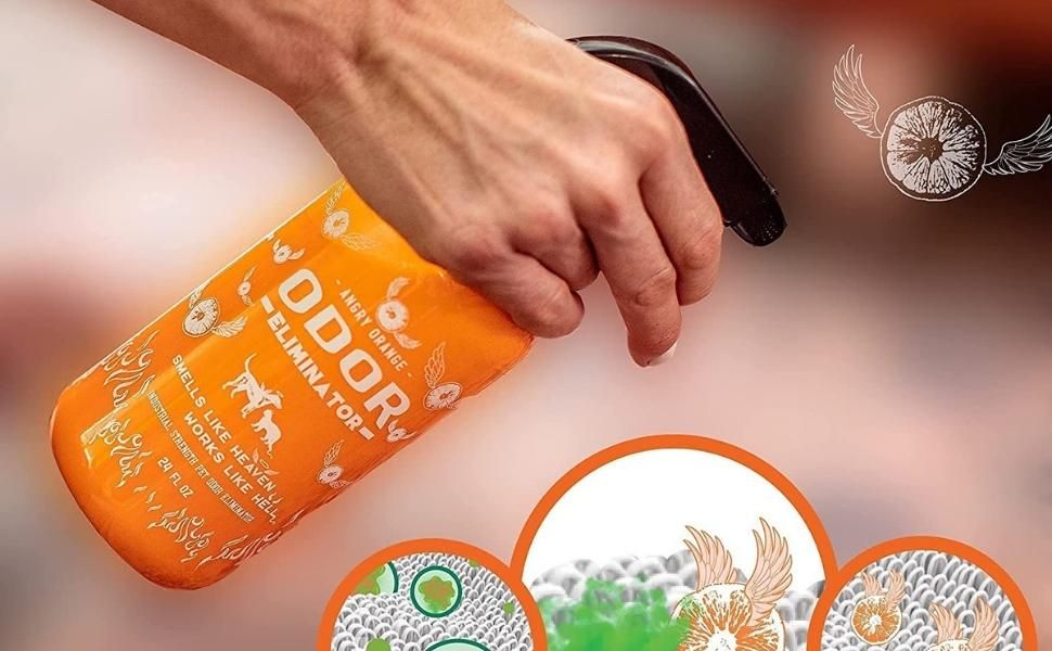 Eliminate Odors with This Spray