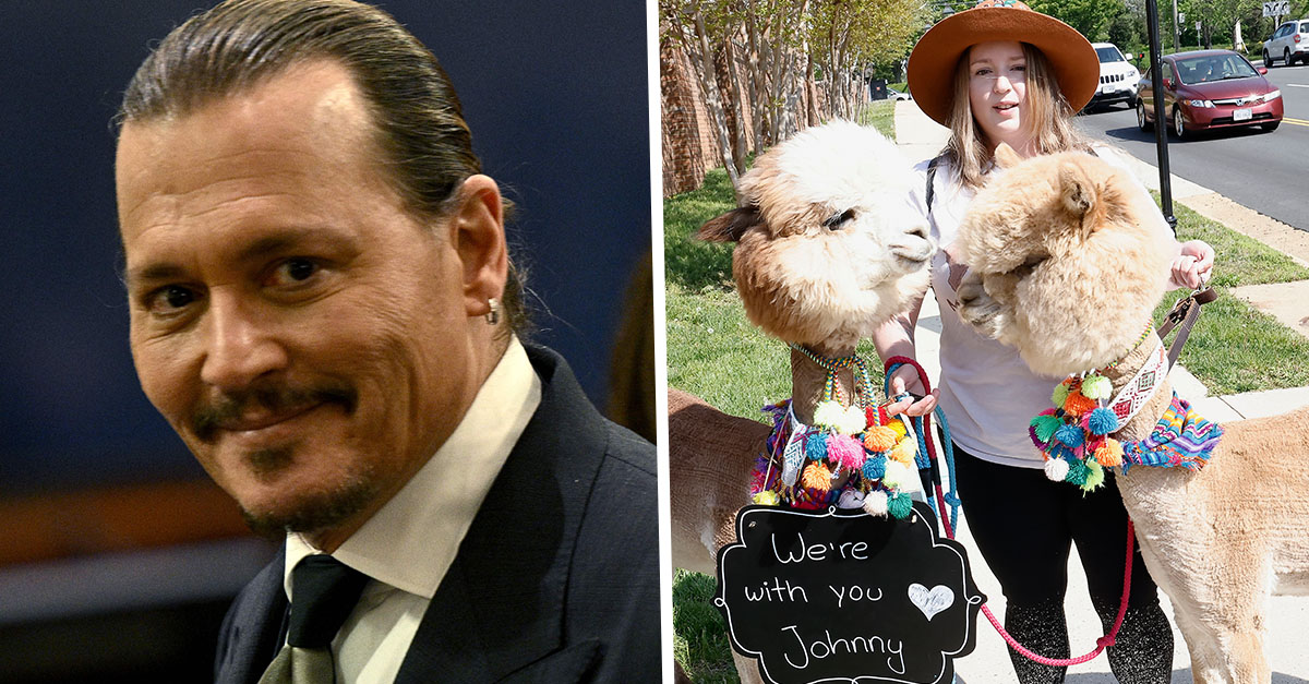 Johnny Depp Fan Brings Two Emotional Support Alpacas to Court