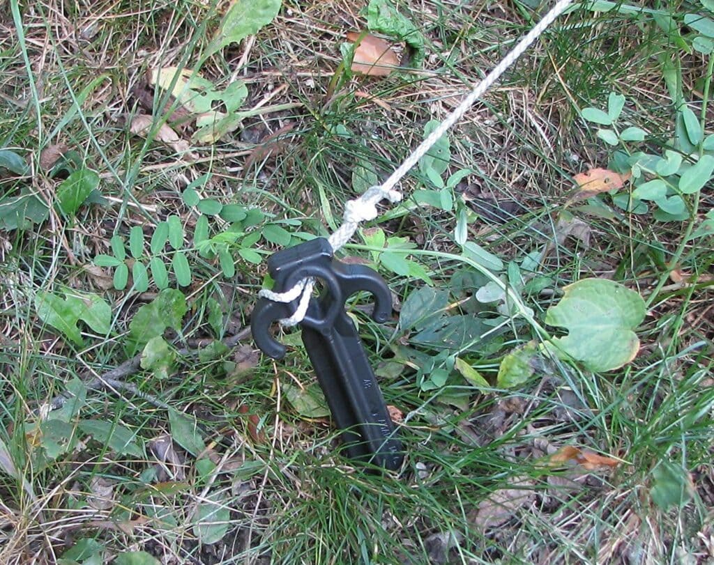 Lawn Stakes