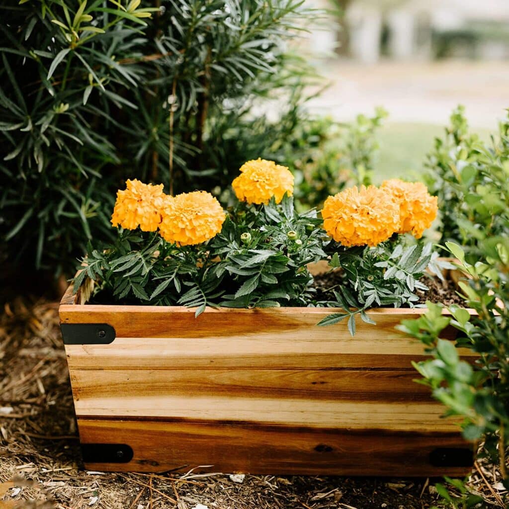 Planter Box