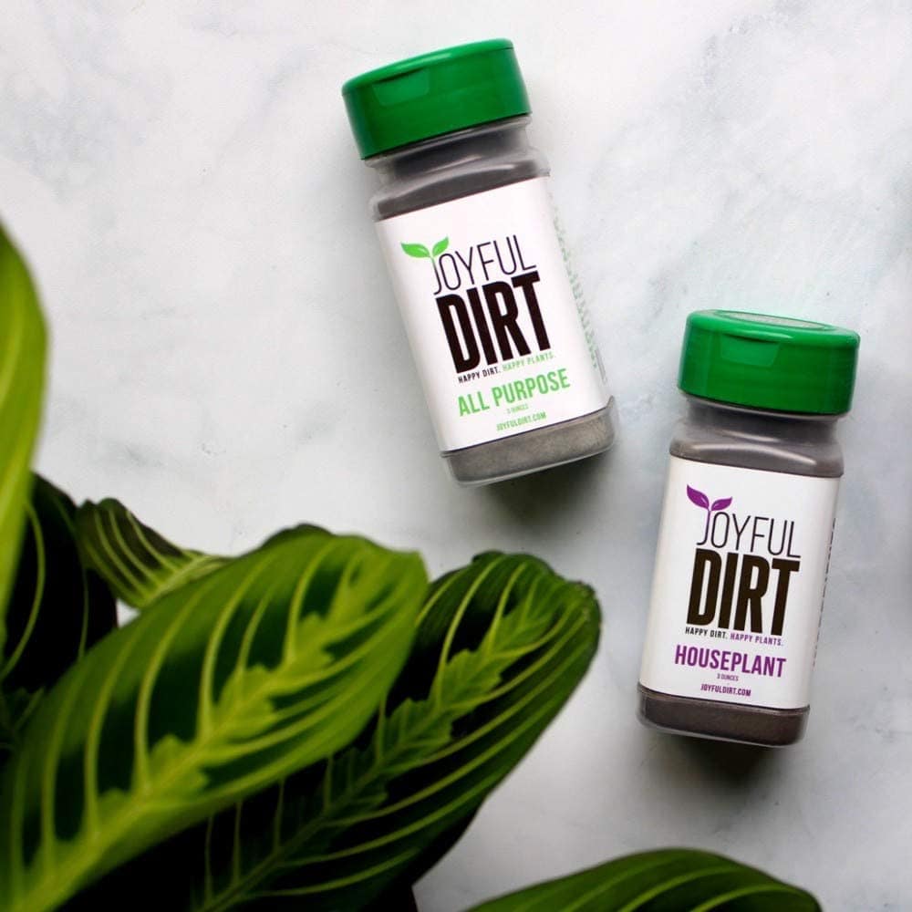Outdoor Joyful Dirt
