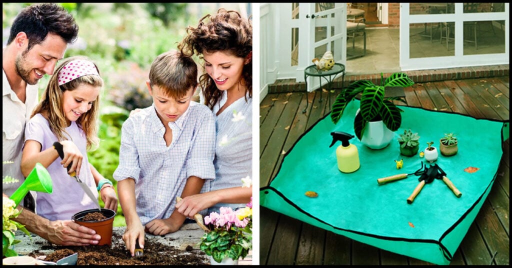 37 of the Best Things You Can Buy on Amazon Canada on a Budget Gallery