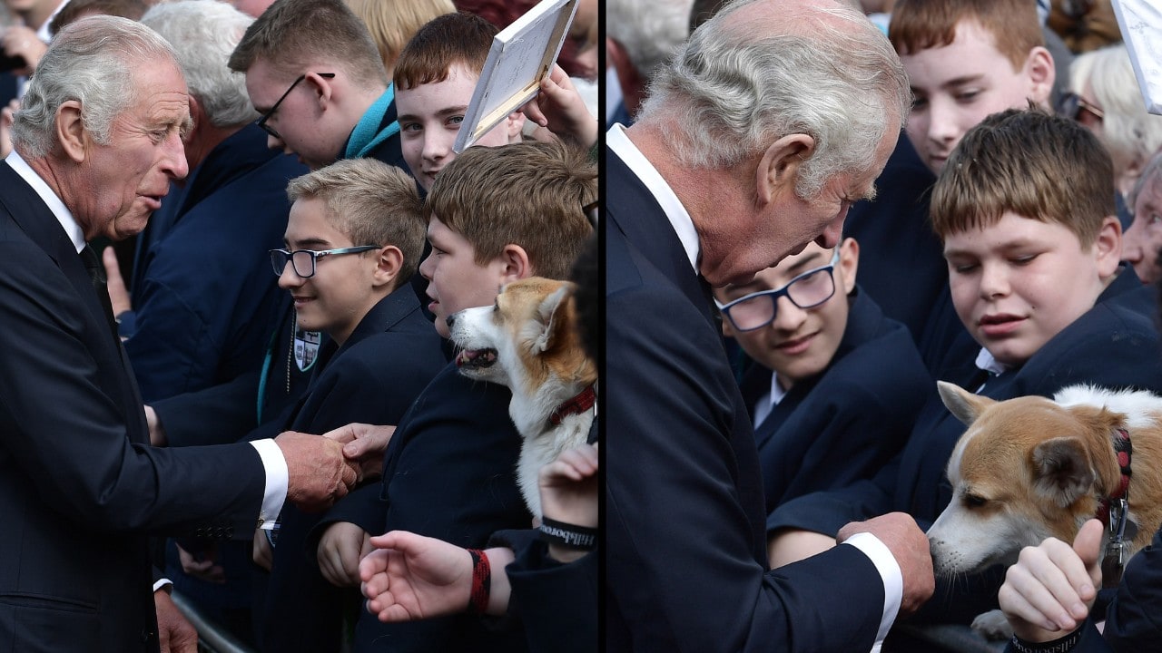 King Charles III Pets a Corgi After Spotting His Mother’s Favorite Breed