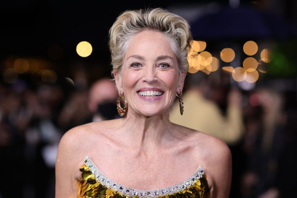 Sharon Stone Finally Names Producer Who Pressured Her Into Sex With Billy  Baldwin Entertainment - 22 Words