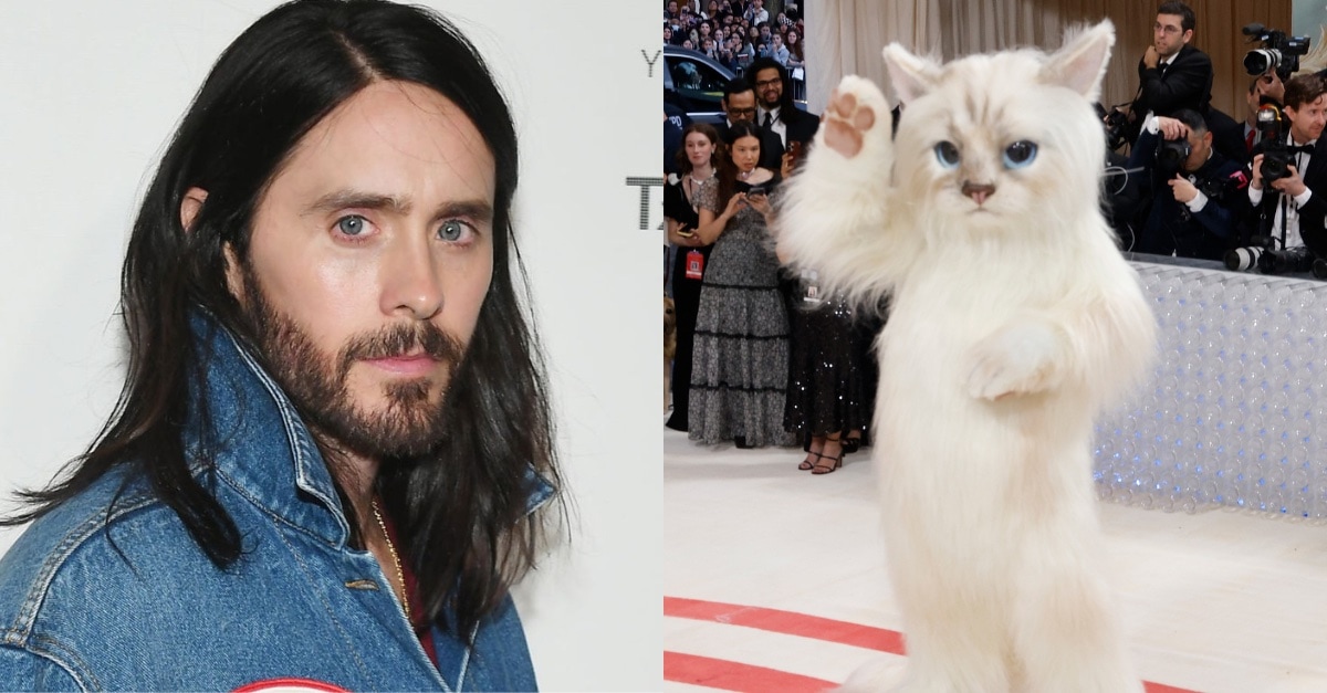 OK, That Actually Was Jared Leto in the Cat Costume at the Met Gala