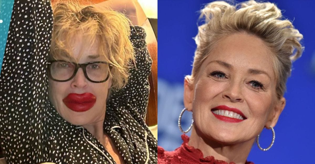 Sharon Stone Celebrates 65th Birthday With Dramatic New Look