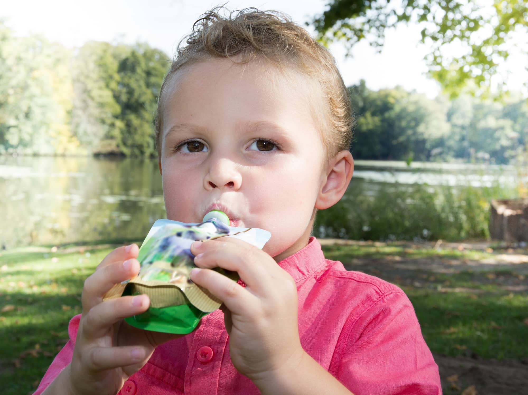 FDA Probes Potential Intentional Lead in Applesauce Pouches Trending