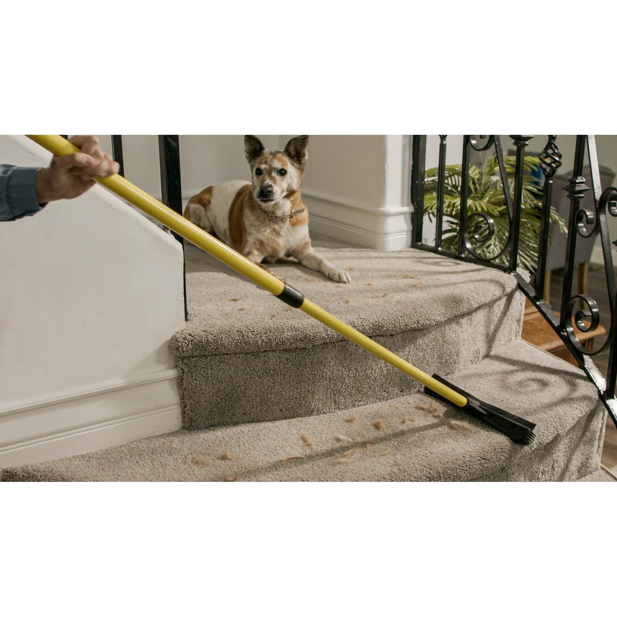 Furemover Broom Pet Hair Remover