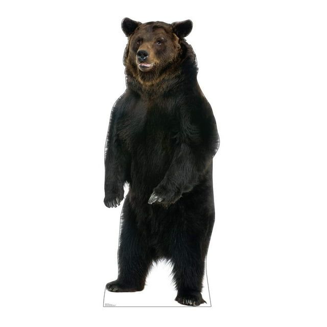 Life Size Brown Bear Standup Cutout - Realistic 3D Standee for Parties, Events, and Decor - Large Cardboard Display for Wildlife Enthusiasts